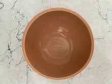 Load image into Gallery viewer, Nectar | Discovery Bowl